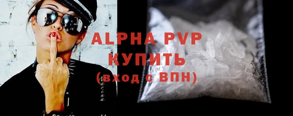 стаф Бородино
