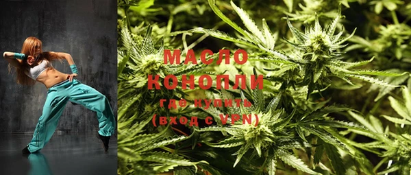 стаф Бородино