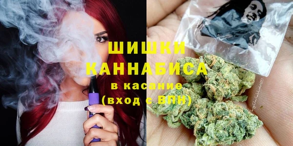 стаф Бородино