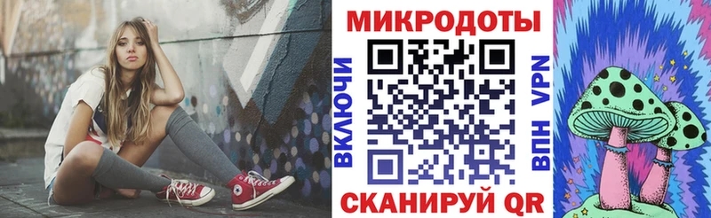 как найти закладки  Новоржев  Псилоцибиновые грибы ЛСД 